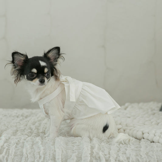 リボンワンピース・ロンパース