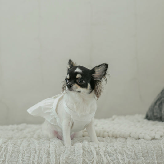 リボンワンピース・ロンパース