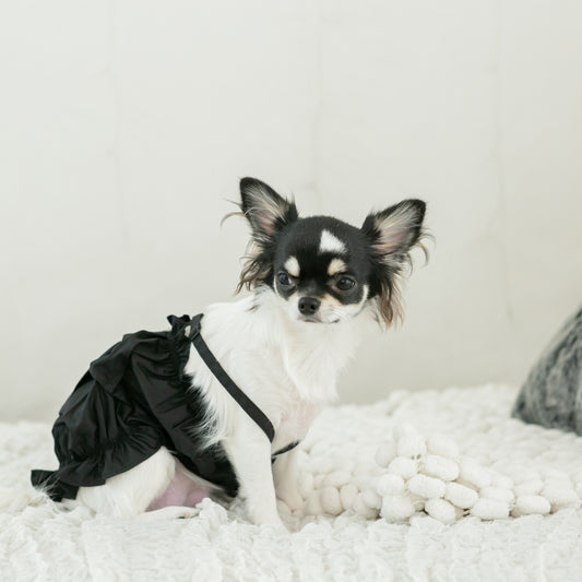 デザインワンピース