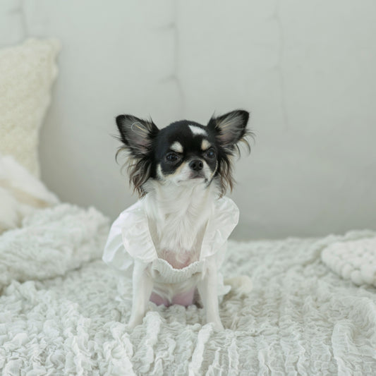 フリルショルダーワンピース・ロンパース