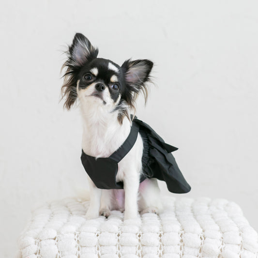 バックリボンワンピース