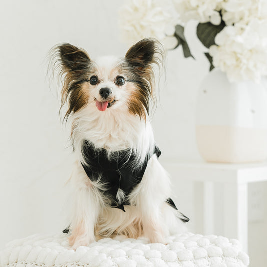 フレアプリーツワンピース