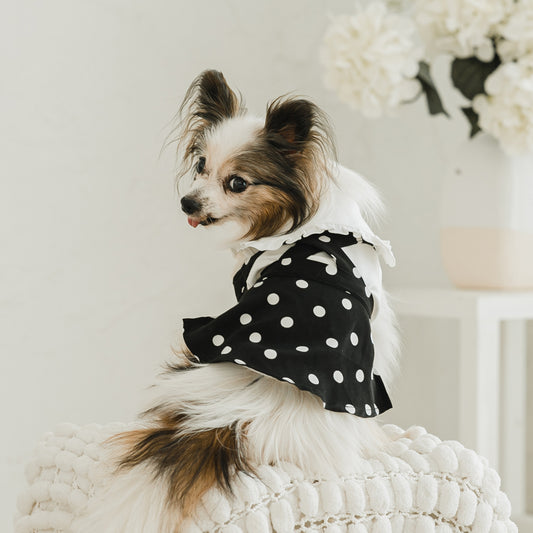 ドットクロススカート